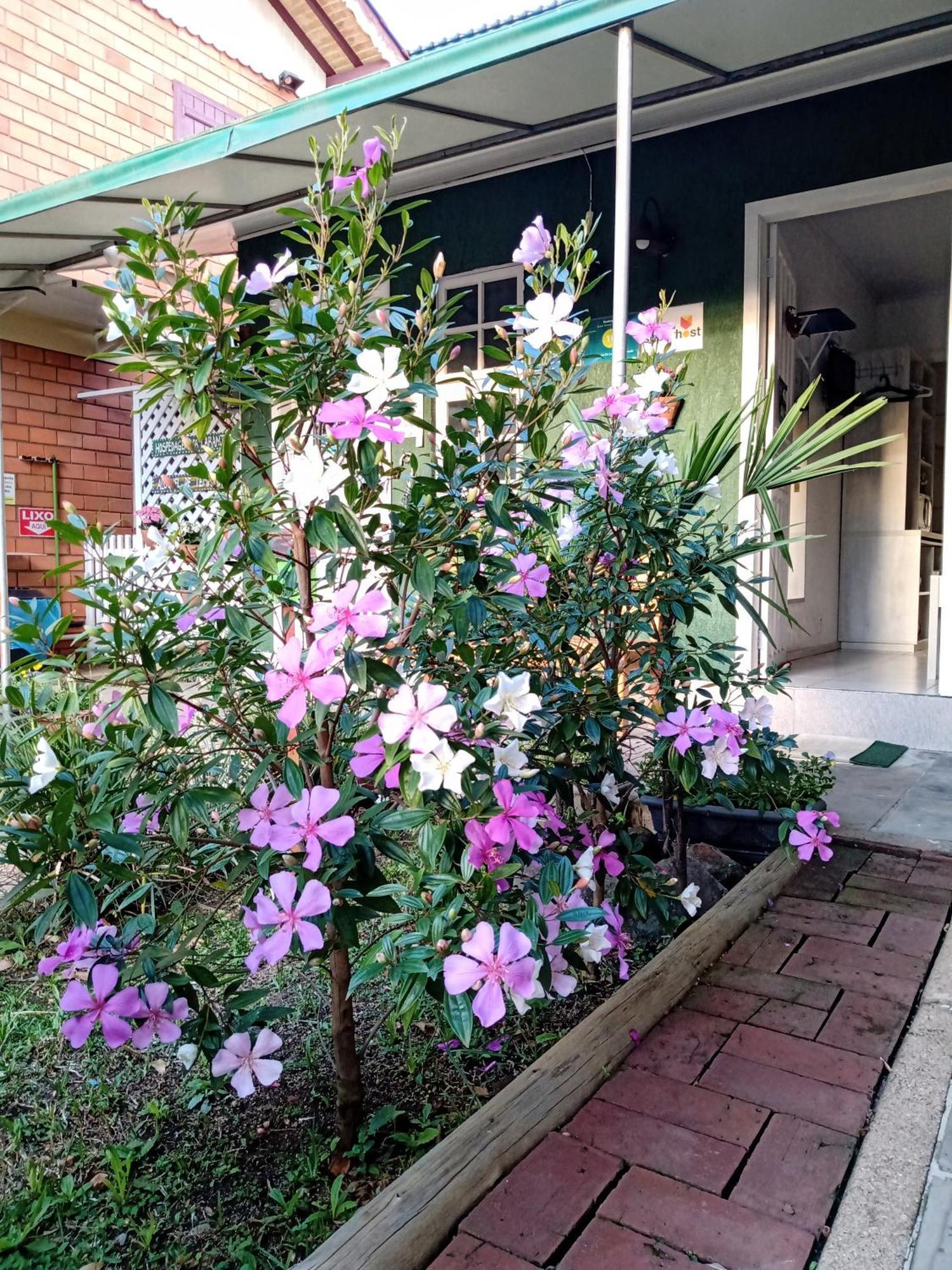 Hospedagem Da Laranjeira กรามาโด ภายนอก รูปภาพ