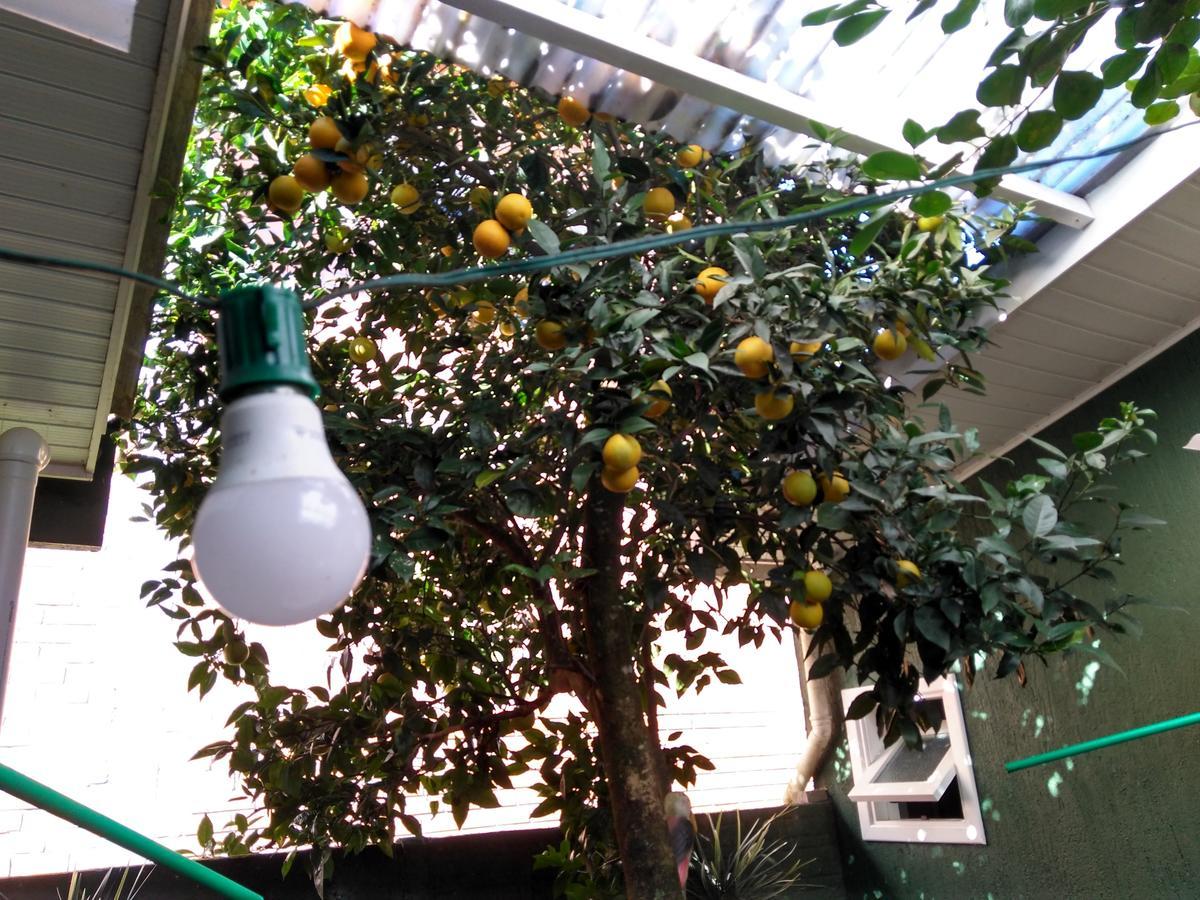 Hospedagem Da Laranjeira กรามาโด ภายนอก รูปภาพ